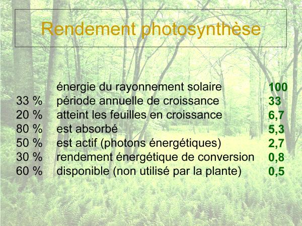 Rendement des différentes étapes de la photosynthèse